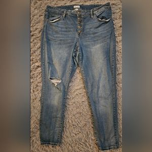 Ava and Viv Womens Jeans 20w